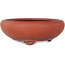 Maceta redonda sin esmaltar para bonsái - 210 x 210 x 73 mm