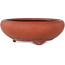 Maceta redonda sin esmaltar para bonsái - 210 x 210 x 73 mm
