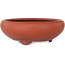 Maceta redonda sin esmaltar para bonsái - 210 x 210 x 73 mm