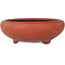Maceta redonda sin esmaltar para bonsái - 210 x 210 x 73 mm