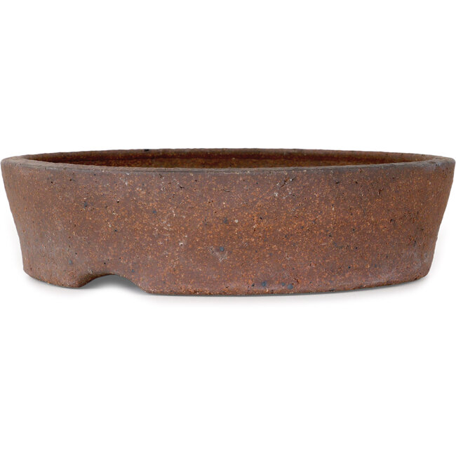 Vaso bonsai rotondo non smaltato - 268 x 268 x 70 mm