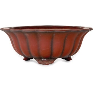 Bigei - Hirata Atsumi Pot à bonsaï non émaillé de 250 mm par Bigei, Tokoname, Japon