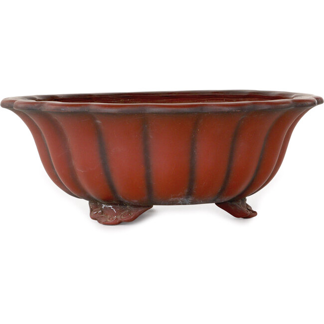 Pot à bonsaï Lotus non émaillé de Bigei - 250 x 250 x 90 mm