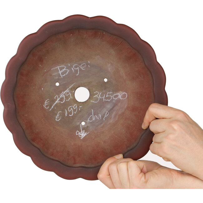 Vaso per bonsai Lotus non smaltato di Bigei - 250 x 250 x 90 mm