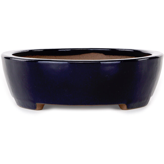 Maceta ovalada para bonsái azul oscuro de Yamafusa - 280 x 215 x 65 mm