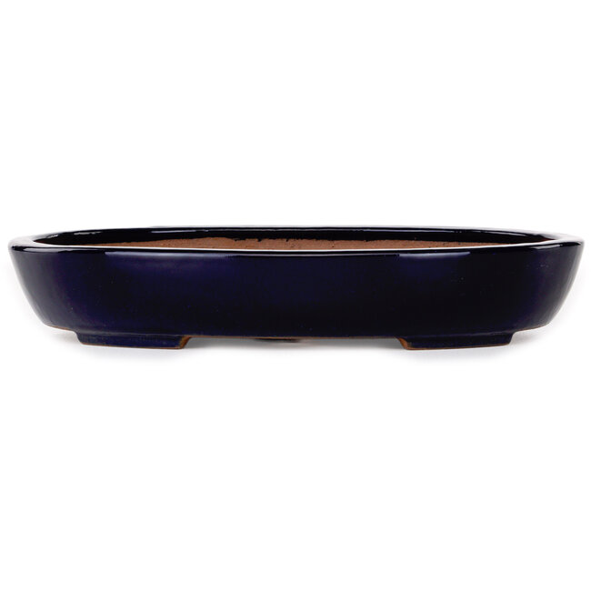 Oval dark blue bonsai pot by Yamafusa - 280 x 213 x 50 mm