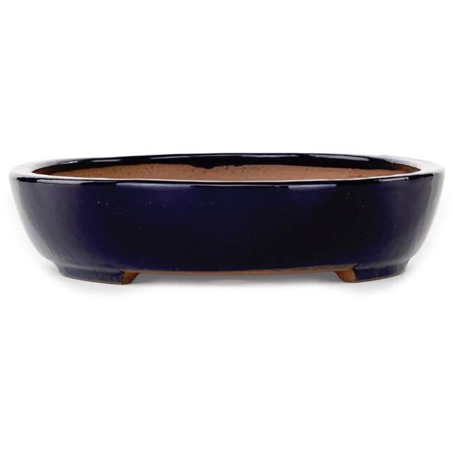 Ovale donkerblauwe bonsaipot van Yamafusa - 280 x 213 x 50 mm