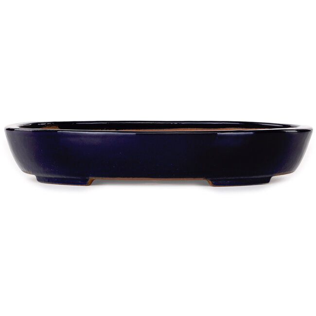 Oval dark blue bonsai pot by Yamafusa - 280 x 213 x 50 mm