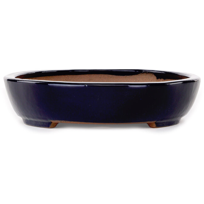 Pot à bonsaï ovale bleu foncé de Yamafusa - 280 x 213 x 50 mm