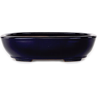  Yamafusa - Takehiko Koie 277 mm  dark blue bonsai pot by Yamafusa, Tokoname, Japan