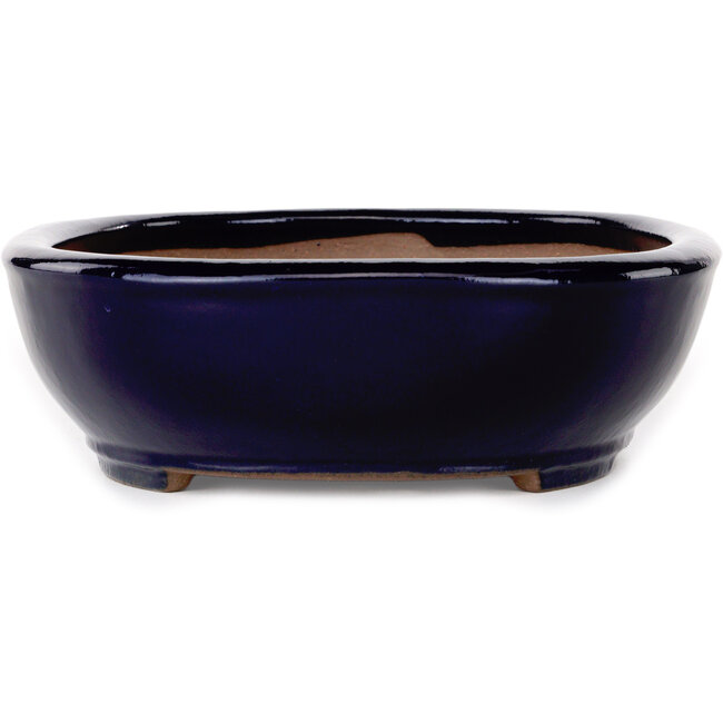 Maceta ovalada para bonsái azul oscuro de Yamafusa - 277 x 223 x 70 mm
