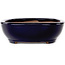 Ovale donkerblauwe bonsaipot van Yamafusa - 277 x 223 x 70 mm