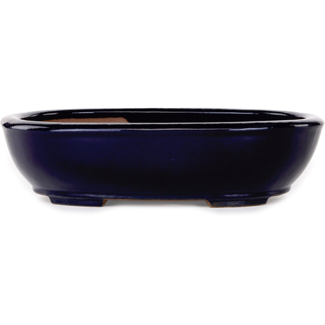Vaso bonsai ovale blu scuro di Yamafusa - 277 x 223 x 70 mm