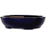 Vaso bonsai ovale blu scuro di Yamafusa - 277 x 223 x 70 mm