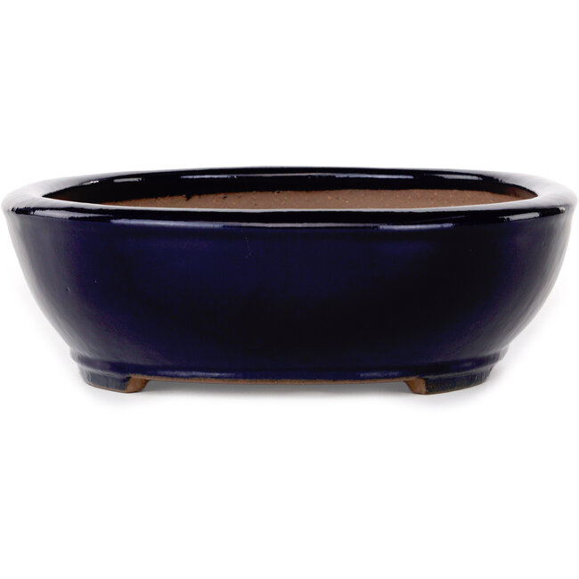 Maceta ovalada para bonsái azul oscuro de Yamafusa - 277 x 223 x 70 mm