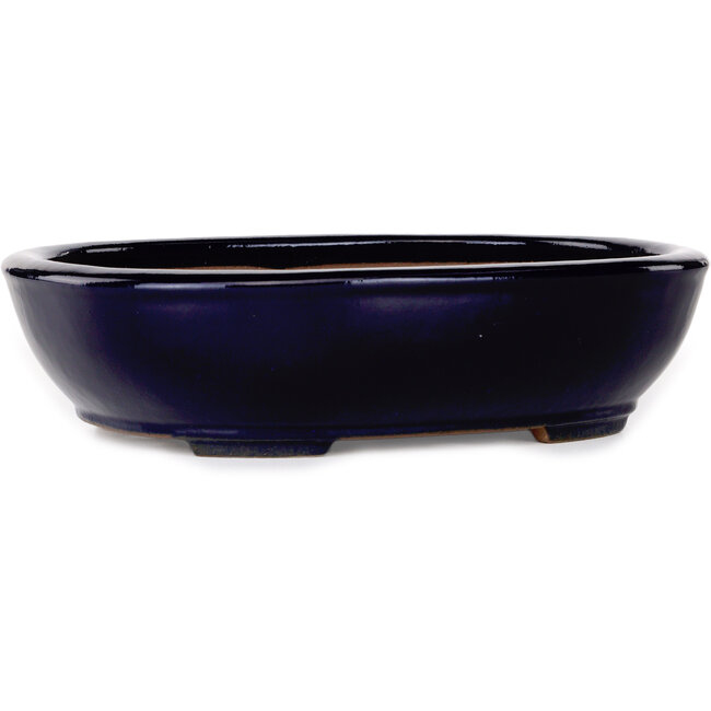 Oval dark blue bonsai pot by Yamafusa - 277 x 223 x 70 mm