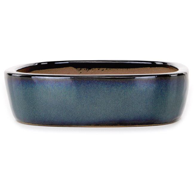 Oval dark blue bonsai pot by Yamafusa - 280 x 212 x 55 mm