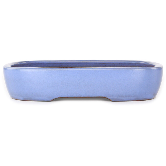 Oval light blue bonsai pot by Yamafusa - 280 x 210 x 55 mm