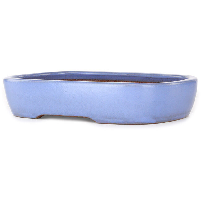 Vaso bonsai ovale azzurro di Yamafusa - 280 x 210 x 55 mm