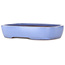 Vaso bonsai ovale azzurro di Yamafusa - 280 x 210 x 55 mm