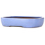 Vaso bonsai ovale azzurro di Yamafusa - 280 x 210 x 55 mm