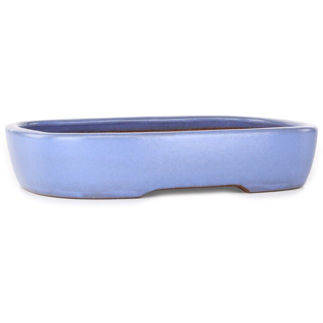 Vaso bonsai ovale azzurro di Yamafusa - 280 x 210 x 55 mm