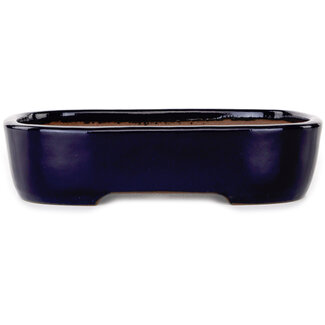  Yamafusa - Takehiko Koie 210 mm  dark blue bonsai pot by Yamafusa, Tokoname, Japan