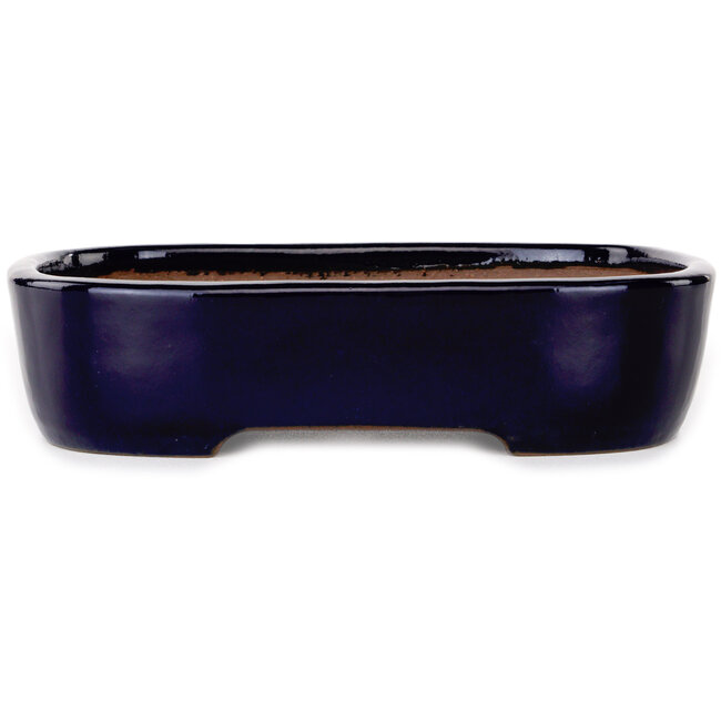 Maceta ovalada para bonsái azul oscuro de Yamafusa - 210 x 163 x 50 mm
