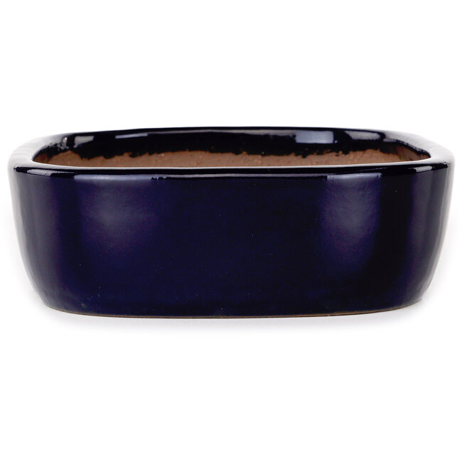 Pot à bonsaï ovale bleu foncé de Yamafusa - 210 x 163 x 50 mm
