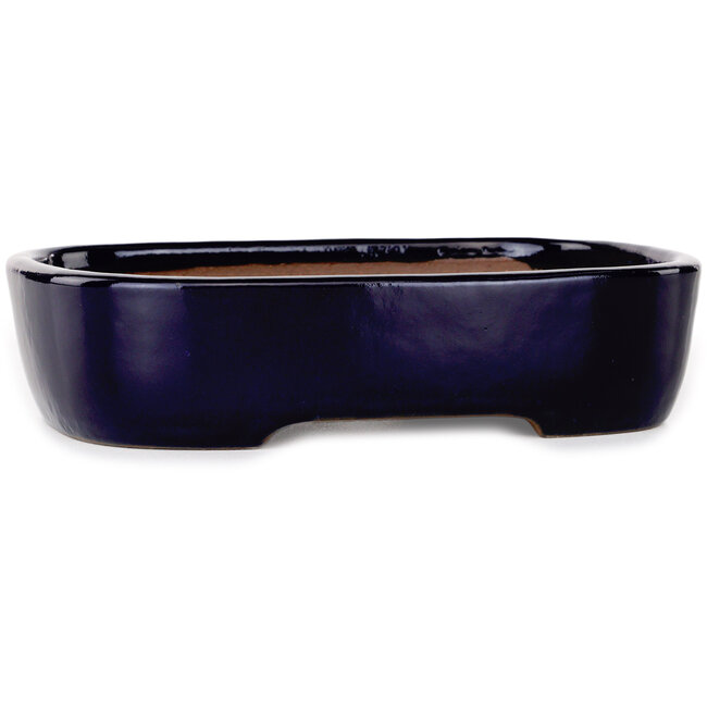 Oval dark blue bonsai pot by Yamafusa - 210 x 163 x 50 mm