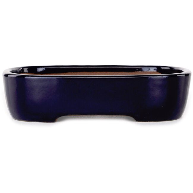 Vaso bonsai ovale blu scuro di Yamafusa - 210 x 163 x 50 mm