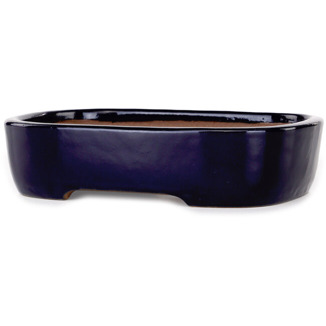 Vaso bonsai ovale blu scuro di Yamafusa - 210 x 163 x 50 mm