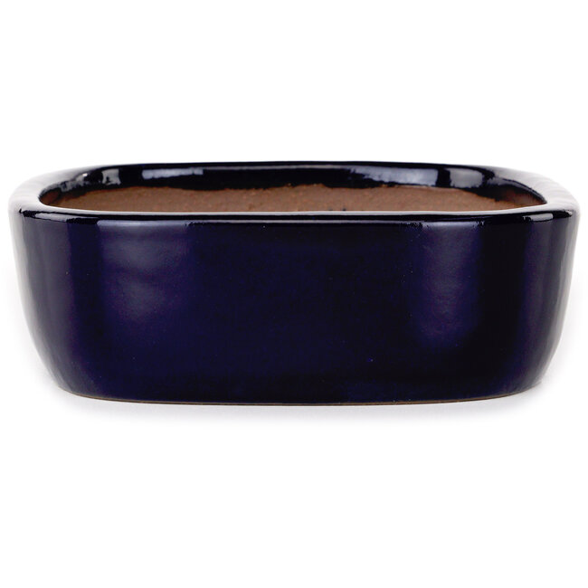 Maceta ovalada para bonsái azul oscuro de Yamafusa - 210 x 163 x 50 mm