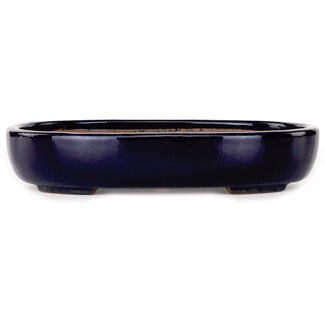 Yamafusa - Takehiko Koie 210 mm dunkelblaue Bonsaischale von Yamafusa, Tokoname, Japan