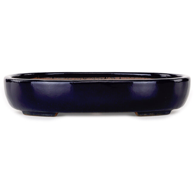 Pot à bonsaï ovale bleu foncé de Yamafusa - 210 x 165 x 40 mm