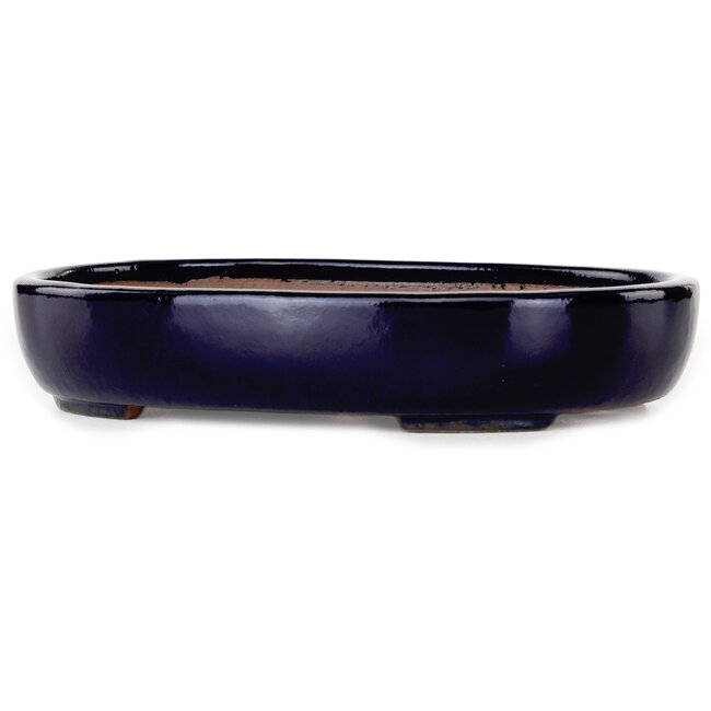 Pot à bonsaï ovale bleu foncé de Yamafusa - 210 x 165 x 40 mm