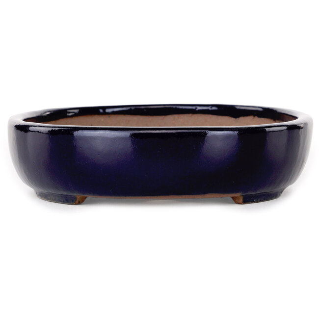 Pot à bonsaï ovale bleu foncé de Yamafusa - 210 x 165 x 40 mm