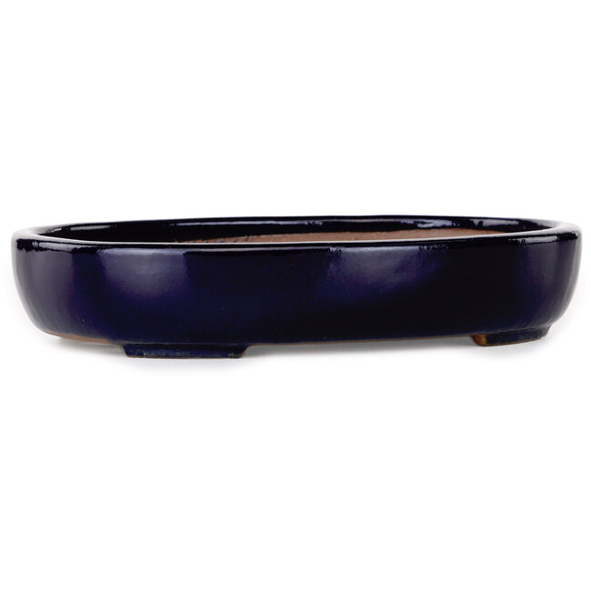 Pot à bonsaï ovale bleu foncé de Yamafusa - 210 x 165 x 40 mm