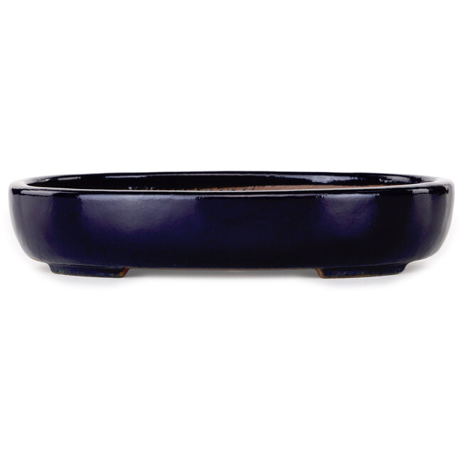 Ovale donkerblauwe bonsaipot van Yamafusa - 210 x 165 x 40 mm