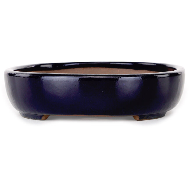 Vaso bonsai ovale blu scuro di Yamafusa - 210 x 165 x 40 mm