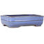 Rectangular light blue bonsai pot by Yamafusa - 210 x 163 x 55 mm