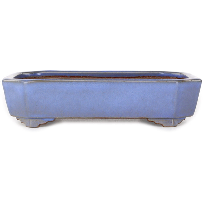 Pot à bonsaï rectangulaire bleu clair de Yamafusa - 210 x 155 x 50 mm