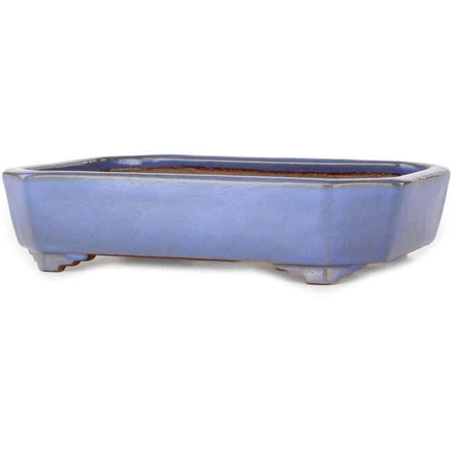 Rectangular light blue bonsai pot by Yamafusa - 210 x 155 x 50 mm