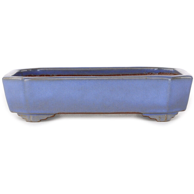Rectangular light blue bonsai pot by Yamafusa - 210 x 155 x 50 mm