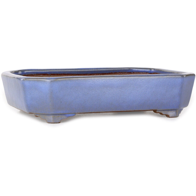 Pot à bonsaï rectangulaire bleu clair de Yamafusa - 210 x 155 x 50 mm