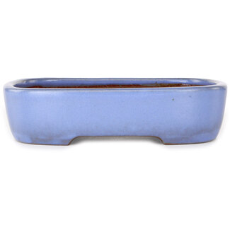  Yamafusa - Takehiko Koie 210 mm  light blue bonsai pot by Yamafusa, Tokoname, Japan