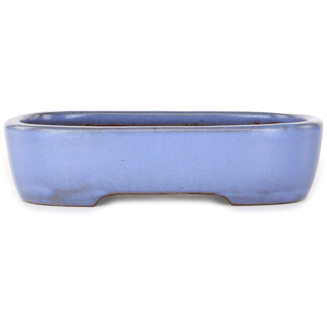 Vaso bonsai rettangolare azzurro di Yamafusa - 210 x 163 x 50 mm