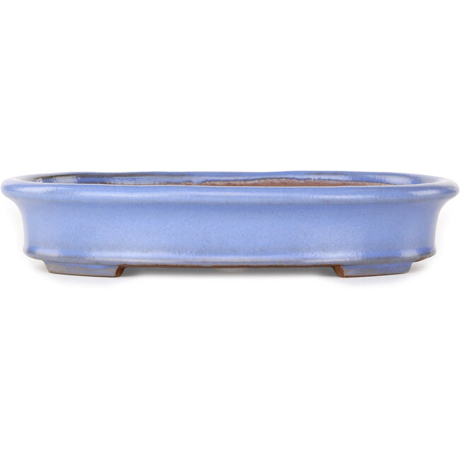 Oval light blue bonsai pot by Yamafusa - 212 x 165 x 40 mm