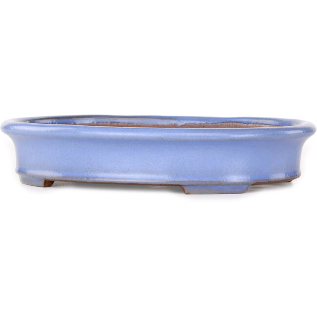 Maceta ovalada para bonsái azul claro de Yamafusa - 212 x 165 x 40 mm
