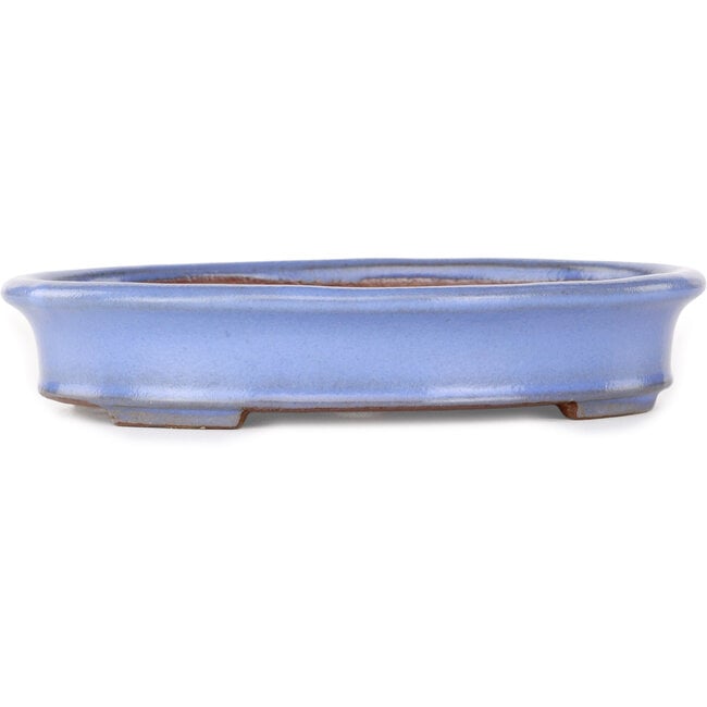 Vaso bonsai ovale azzurro di Yamafusa - 212 x 165 x 40 mm